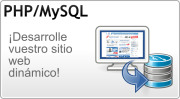 Desarrolle su sitio web dinámico